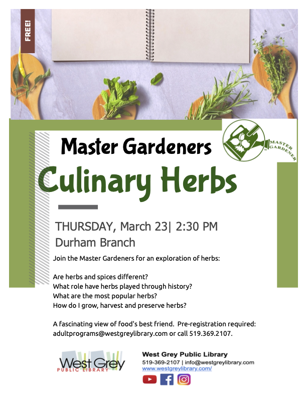 culinary herbs